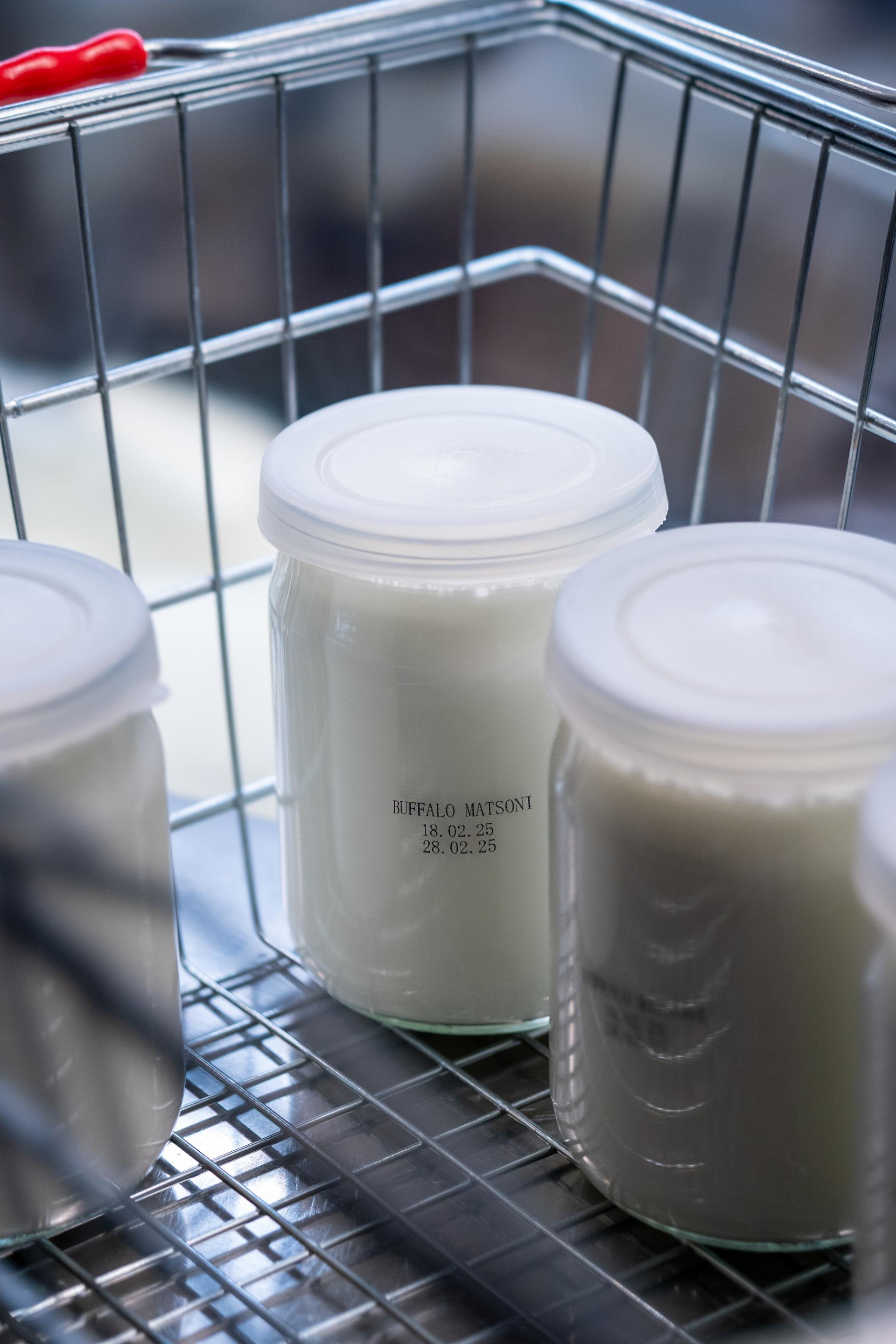 DAIRY PRODUCTS